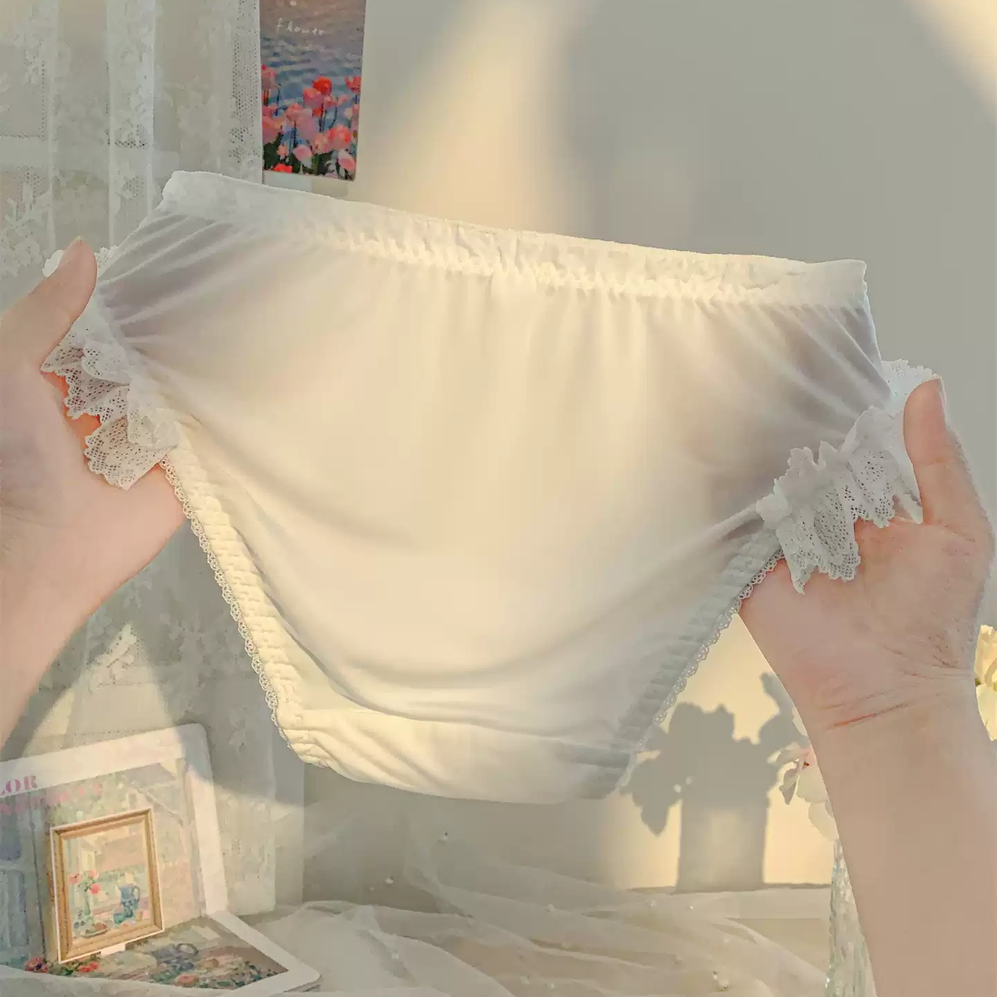 Rose Lace Trim Briefs (4 Packs)